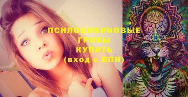бутират Арсеньев