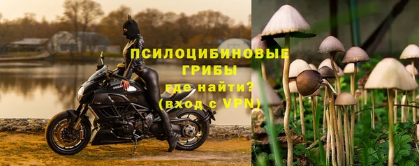 ALPHA PVP Аркадак