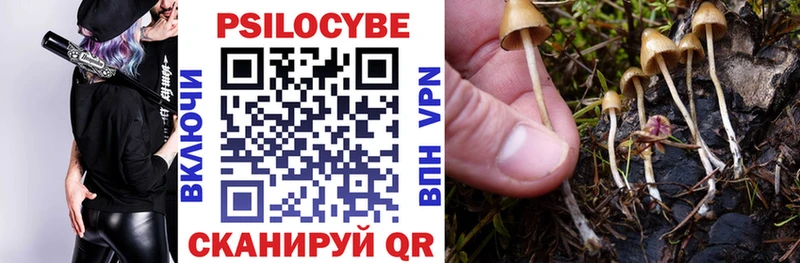 Галлюциногенные грибы прущие грибы  Купить закладки  Чебаркуль 